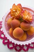 Apricots and roses in plastic dish