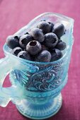 Fresh blueberries in light blue glass jug
