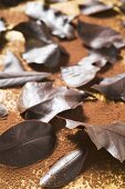 Several different chocolate leaves on cocoa powder