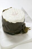 Goat's cheese in chestnut leaf