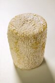 Goat's cheese, log-shaped