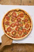 Cheese and tomato pizza with oregano on pizza box