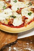 Mozzarella pizza on server (detail)