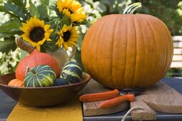 Squashes and pumpkins with sunflowers on garden table