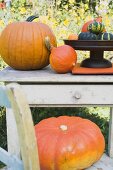 Squashes and pumpkins on chair and garden table (outdoors)