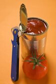 Fresh tomato beside opened food tin