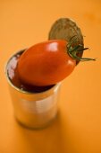 Fresh tomato on opened food tin