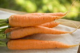 Fresh carrots on linen cloth in the open air