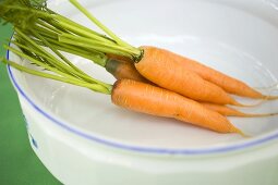 Fresh carrots in white dish