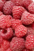 Raspberries (full-frame)