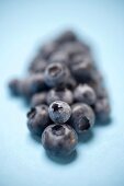 Blueberries on blue background