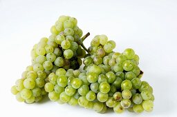 Green grapes, variety Riesling