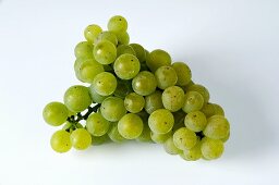 Green grapes, variety Silvaner