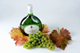 Weissweinflasche, grüne Trauben, Sorte Silvaner, und Blätter
