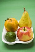 Orange, Birne, Limette und Apfel im Styroporbehälter