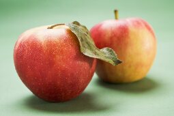 Two Elstar apples, one with leaf