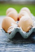 Brown eggs with feathers in an egg box