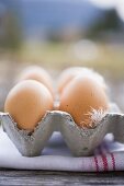 Brown eggs with feathers in egg box on tea towel