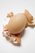 Braunes Ei auf zerbrochenen Eierschalen