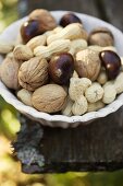 Walnuts, chestnuts and peanuts in white dish