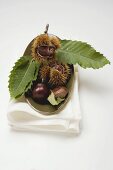 Sweet chestnuts with leaves in dish