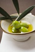 Green olives on twig in bowl of olive oil