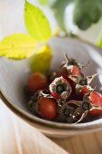 Rose hips in a bowl