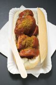 Currywurst (sausage with ketchup & curry powder) in roll in paper dish
