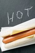 Hot dog with cheese on paper napkin, the word 'HOT'
