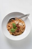 Spaghetti mit Tomatensauce, Basilikum und Parmesan