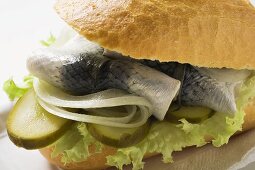 Herring, onions & gherkins in bread roll (close-up)