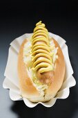 Hot Dog mit Sauerkraut und Senf auf Pappteller
