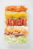 Eissalat, Schinken, Käse, Ei und Gemüse in Plastikschale