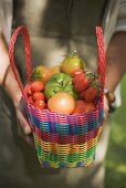 Woman holding shopping bag full of tomatoes (various types)