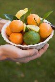 Hands holding a dish of citrus fruit