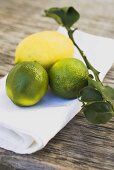 Limes and lemon on white cloth