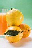 Glass of orange juice beside several oranges