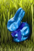 Blue chocolate Easter Bunny in grass