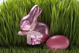 Pink Easter Bunny and Easter egg in grass