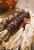 Cobs of corn (Autumn decoration, USA)