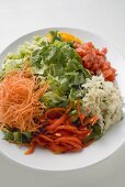 Salad platter: lettuce and raw vegetables