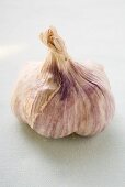 Garlic bulb