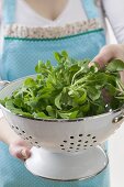 Woman holding colander full of corn salad