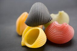 Coloured lumaconi (pasta shells)