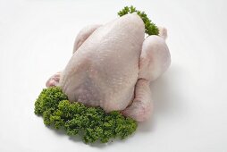 Frisches Huhn, garniert mit Petersilie