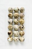 Quails' eggs in opened pack