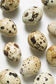 Several quails' eggs (overhead view)