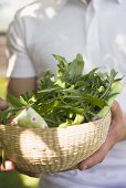 Man holding basket of fresh rocket