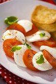 Tomatoes, mozzarella and basil (close-up)