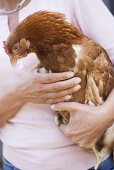 Frau hält lebendiges Huhn